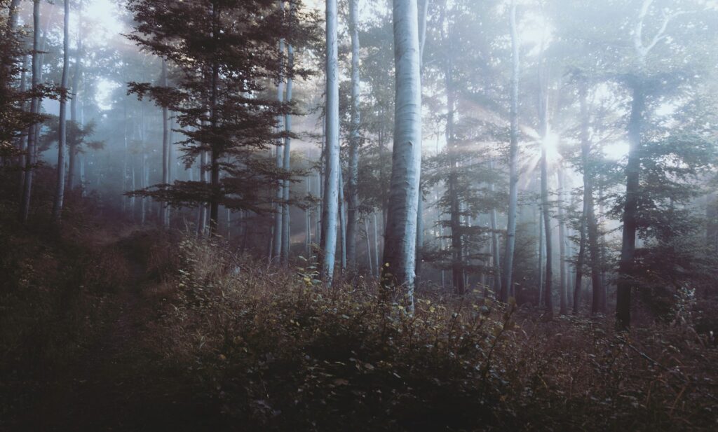 featured image
